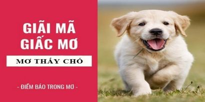 Mơ Thấy Chó Đánh Con Gì? Bật Mí Con Lô Trúng Thưởng Khủng 4 Mơ Thấy Chó Đánh Con Gì? Bật Mí Con Lô Trúng Thưởng Khủng