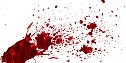 Nằm Mơ Thấy Máu Đánh Con Gì An Toàn Húp Bạc Tỷ Về Túi?  12 Nằm Mơ Thấy Máu Đánh Con Gì An Toàn Húp Bạc Tỷ Về Túi?