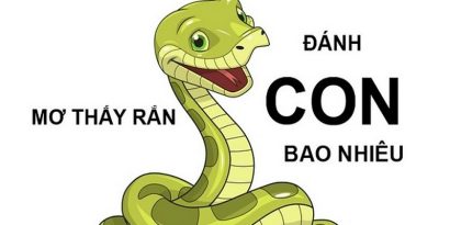 Mơ Thấy Rắn Đánh Con Gì? Gợi Ý Con Số Đẹp Đánh Bao Trúng 5 Mơ Thấy Rắn Đánh Con Gì? Gợi Ý Con Số Đẹp Đánh Bao Trúng
