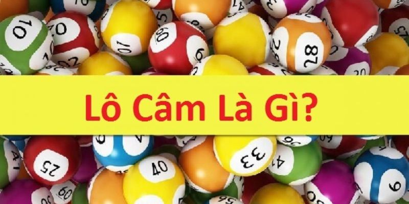 Lô Câm - Phương Pháp Bắt Cầu Chốt Số Đúng Chuẩn Cao Thủ 2 3+ cách bắt cầu lô câm thắng cực đậm