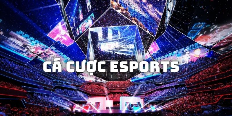 Cá cược eSports: Hướng Dẫn Chi Tiết & Cách Chơi Xanh Chín 3 Những rủi ro và cách cá cược eSports an toàn