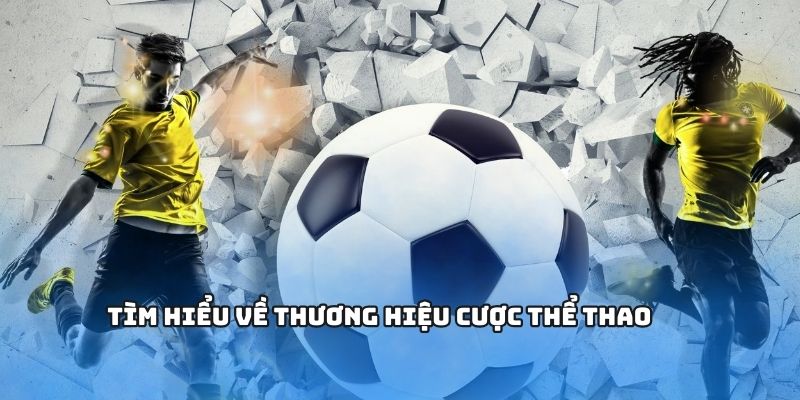 Thể Thao - Sản Phẩm Cá Cược Chất Lượng Cao Của NOHU 1 Các môn thể thao siêu hot với tín đồ cá độ