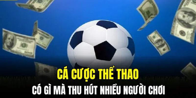 Thể Thao - Sản Phẩm Cá Cược Chất Lượng Cao Của NOHU 2 Sảnh cá độ thể thao đa dạng