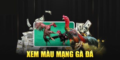 Màu Mạng Gà Là Gì? Cách Xem Chính Xác, Chuẩn Chuyên Gia