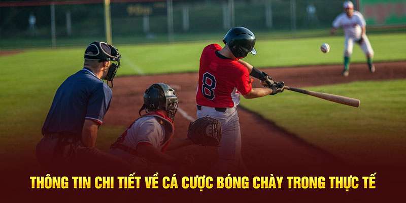 Cá Cược Bóng Chày - Luật Chơi Mới Nhất Cho Khách Hàng 1 Sơ lược về cá cược bóng chày cho bạn mới