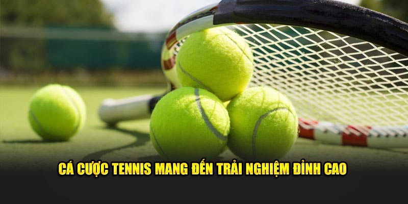Cá Cược Tennis - Trải Nghiệm Gay Cấn, Kiếm Tiền Liền Tay 3 Khách hàng mới cần biết các loại cá cược tennis phổ biến nhất