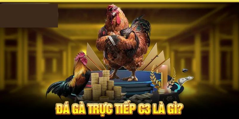 Đá Gà C3 Là Gì? Lý Do Giải Đấu Khiến Bet Thủ NOHU Mê Mẫn 1 Giải mã sức hút của đá gà C3