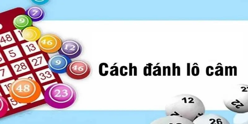 Lô Câm: Cách Nhận Biết Các Loại Và Phương Pháp Chơi Hiệu Quả 3 Kinh nghiệm đánh lô câm hiệu quả cho người mới tham gia