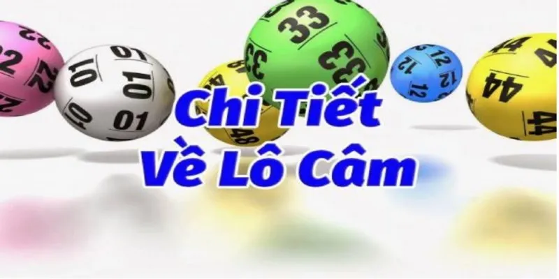 Lô Câm: Cách Nhận Biết Các Loại Và Phương Pháp Chơi Hiệu Quả 1 Lô câm là gì?
