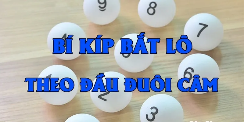 Lô Câm: Cách Nhận Biết Các Loại Và Phương Pháp Chơi Hiệu Quả 2 Lô đầu câm và cách chơi