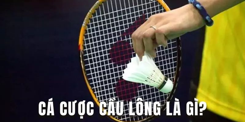 Cá Cược Cầu Lông - Mách Bạn Các Loại Kèo Hấp Dẫn Thưởng Lớn 1 Luật cá cược cầu lông