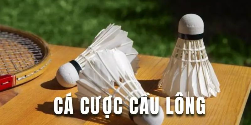 Cá Cược Cầu Lông - Mách Bạn Các Loại Kèo Hấp Dẫn Thưởng Lớn 2 Những loại kèo trong cá cược cầu lông