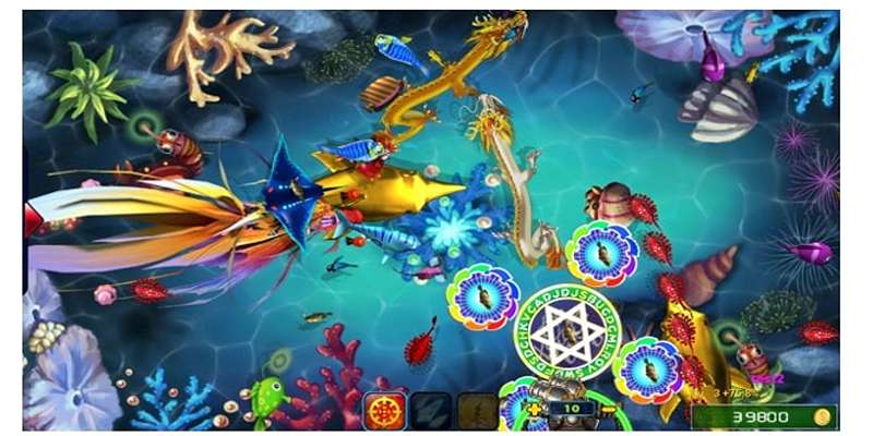 Cách tham gia săn cá nhận xu tại NOHU