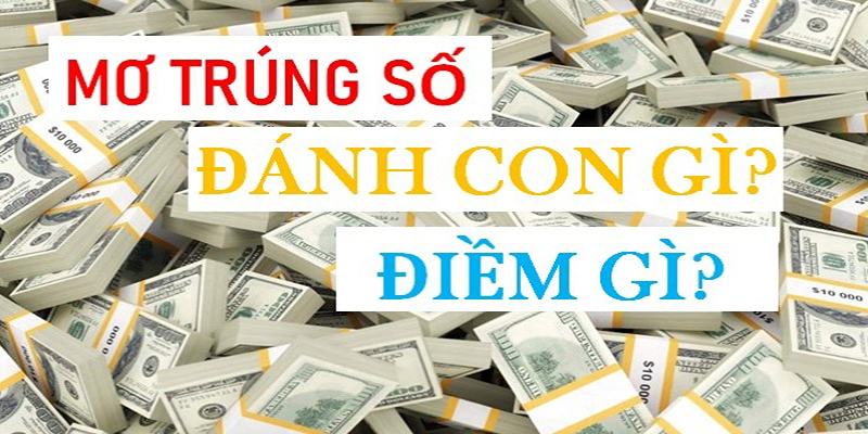 Giải Mã Mơ Thấy Trúng Lô Và Chia Sẻ Con Số May Mắn 4 Gợi ý con số may mắn khi nằm mơ thấy trúng số