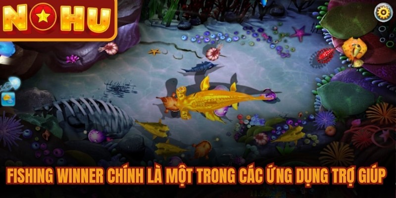 Fishing Winner chính là một trong các ứng dụng trợ giúp uy tín